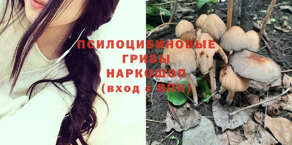твердый Киренск