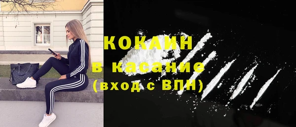 стаф Кодинск
