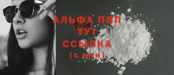 стаф Кодинск