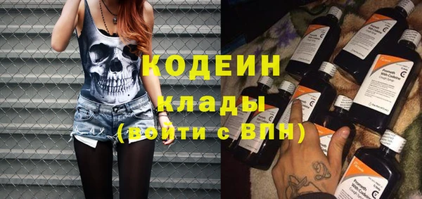 стаф Кодинск