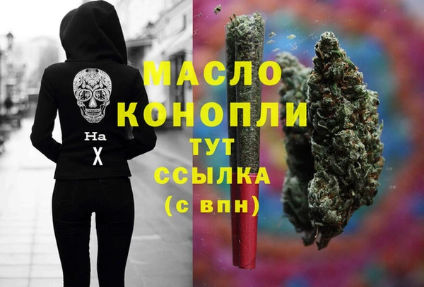 стаф Кодинск