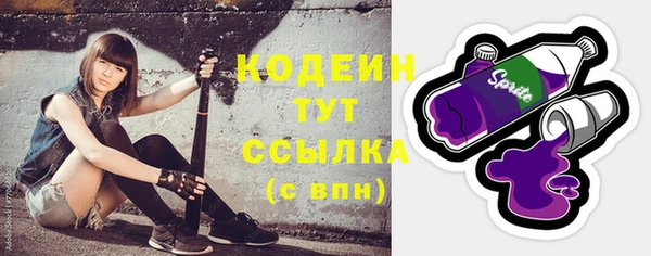 стаф Кодинск