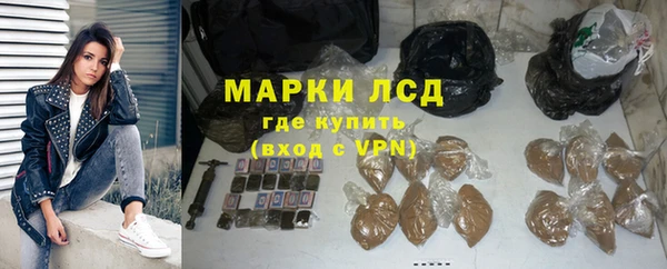 стаф Кодинск