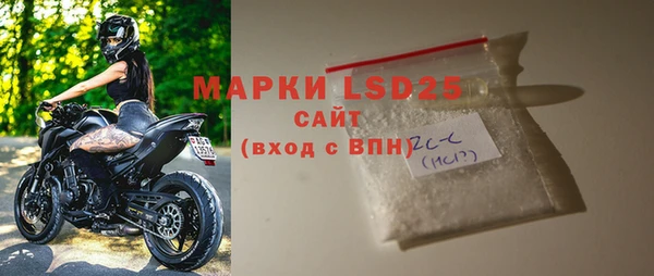 стаф Кодинск